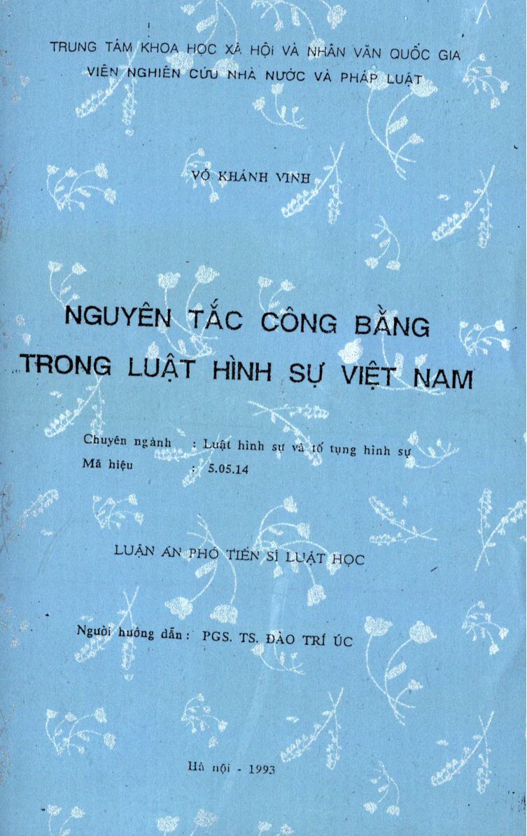 Nguyên tắc công bằng trong luật hình sự Việt Nam