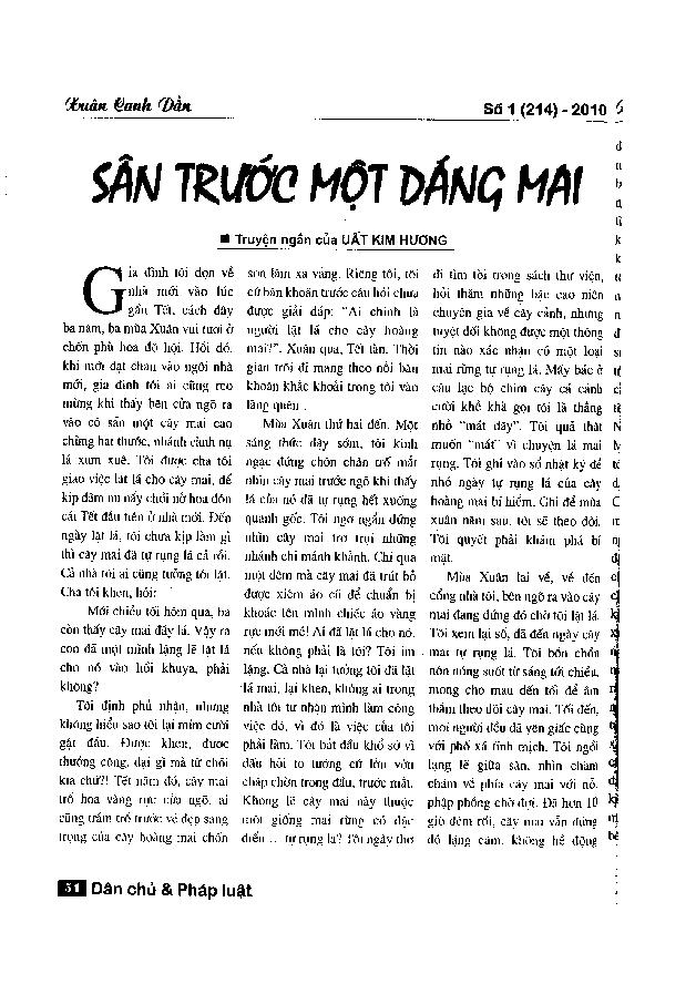 Sân trước một dáng mai